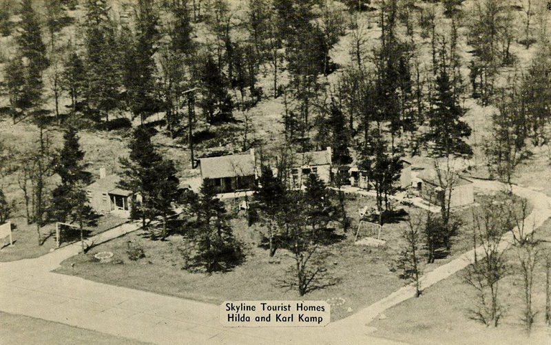 Skyline Tourist Homes - Vintage Postcard